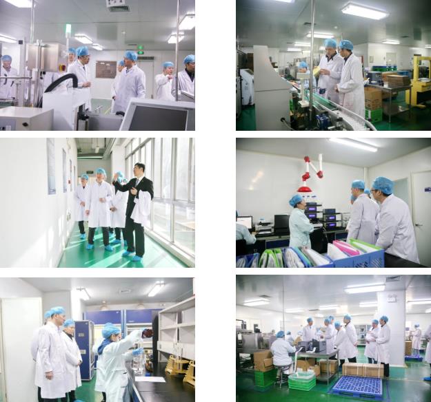 西安市委联合调研组莅临三亿体育股份考察调研 西安市委联合调研组莅临三亿体育股份考察调研