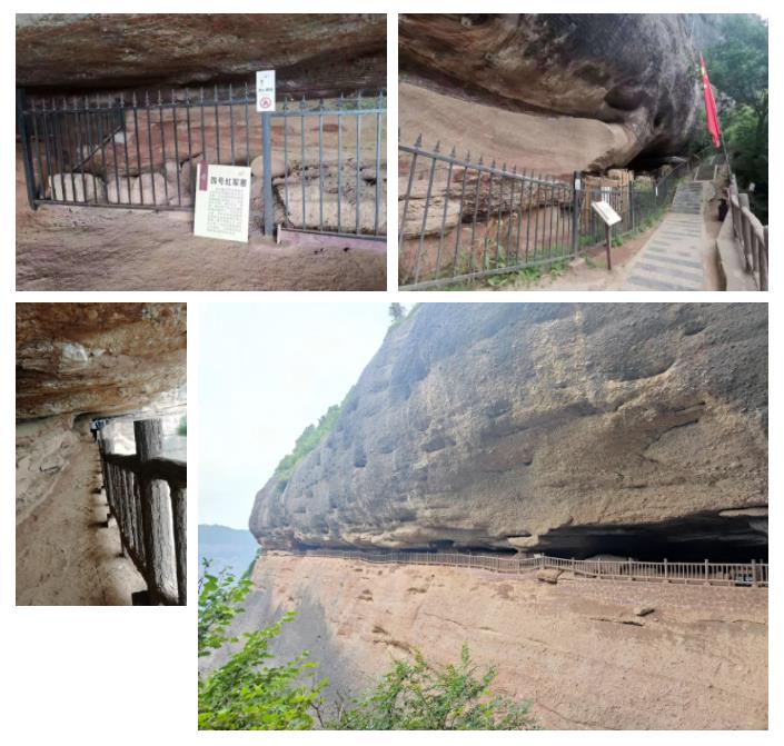 三亿体育股份先进员工照金行