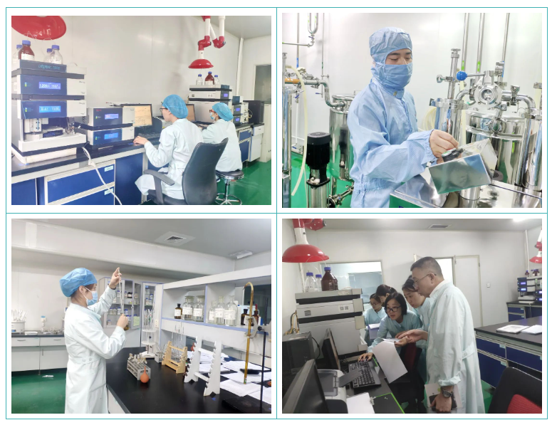 三亿股份GMP符合性检查圆满结束