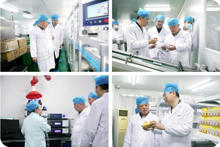 榆林市榆阳区政府领导莅临三亿股份考察调研