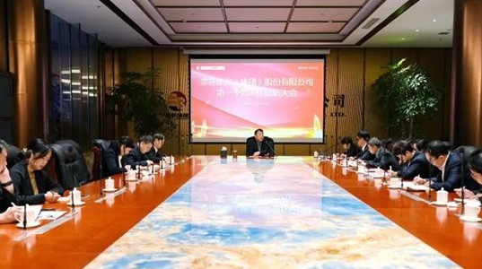 三亿体育股份召开2023年一季度工作总结会